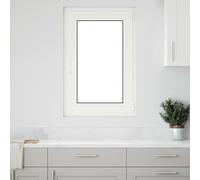 vidaXL Fenêtre RISOR 60 x 90 cm PVC et verre blanc – Isolation thermique, insonorisée