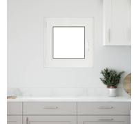 vidaXL Fenêtre de sous-sol RISOR 60 x 60 cm PVC et verre Isolation thermique Blanc