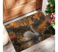Couleur Orange Paillasson pour Extérieur et Intérieur - Forêt des Cygnes Welcome Tapis - 90 x 150 cm Tapis de Propreté Antidérapant pour Porte de Maison et Patio
