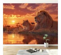 Couleur Orange Papier Peint Panoramique 3D Intissé, Une Scène Touchante D'Un Lion Ses Petits Coucher 350 x 256 cm Murales Papier Peint pour Salon Chambre à Coucher D'Enfant Maison Décoration Murale