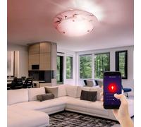 Plafonnier intelligent plafonnier rond contrôle par application lampe de cuisine verre salon lumière chrome, motif floral, CCT, RGB LED 8,5W 806Lm, DxH 25x9,5 cm