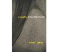 Counseling Troubled Youth, Counseling and Pastoral Theology Robert C. Dykstra (Auteur)