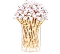 Counsements de dents de football pour les amuse-gueules, dents de cocktails pour les amuse-gueules, Toppers de cupcakes de football de baseball, Décorations de fête d'anniversaire de vacances,