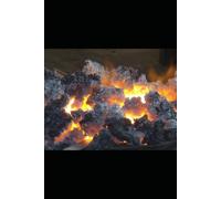 COUNTDOWN STORIES: COSMOS TIMES