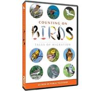Counting on Birds: Tales of Migration