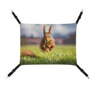 Country Brown - Hamac en toile imprimée écureuil pour animaux de compagnie - Respirant et pliable pour chats, chiens et petits animaux de compagnie - Idéal pour la maison, les voyages et l'hôpital