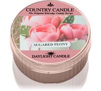 Country Candle Sugared Peony bougie chauffe-plat 42 g