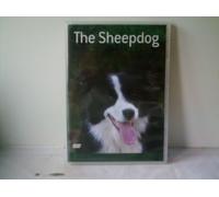 Country Life - The Sheep Dog