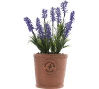 Country Living Pot à Herbes Vieillies - Lavande WD479 (taille unique) (Violet)