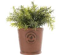 Country Living Pot d'herbes aromatiques vieilli 10cm de diamètre WD478 (Taille unique) (Marron)