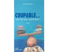 Coupable... mais de quoi, grand Dieu ? Jacques Breynaert (Auteur)
