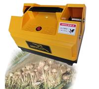 Coupe-ail électrique, machine à double tête pour enlever les racines de l'ail, les oignons, le gadget de cuisine