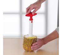 Coupe-ananas Éplucheur Épépineur Broyeur d'ananas Coupe-anananas