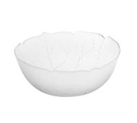 Arcoroc Saladier Aspen 23 cm en verre transparent - 2 L