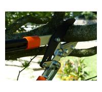 Coupe-branches à enclume-sécateur, crémaillère