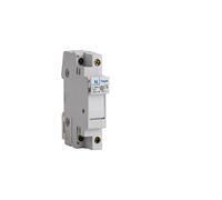 Coupe-circuit 1P+N 10A 250V domestique 1M (L12401)