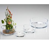 Coupe en verre Coupe décorative de Sandra Rich Série AUTOMATIC ronde 14cm