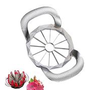 Coupe-Fruits - Dénoyauteur et Éplucheur Sécurisé | Accessoire Diviseur Multifonctionnel en Acier Inoxydable pour Préparer Pommes de Terre et Oignons, Idéal pour Cuisine avec et