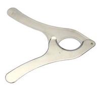 Coupe oursin en inox - Table Passion - Argent - Inox Argent G