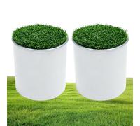 Coupes Golf Putting Green Léger Outil pour Entraînement sur Le Terrain