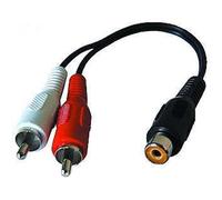 Couplage Cinch à 2xCinch plug 0.2m