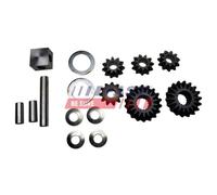 Couple Conique/set Pignons Coniques Fast FT62450 pour Iveco