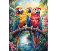 Couple d'aras dans la forêt tropicale 1000 Pieces Casse-tête Débutant En Carton Anti-Déchirure Conte de fées d'accompagnement magique Facile Apprentissage Loisir Créatif Décoration Murale Petit Prix P
