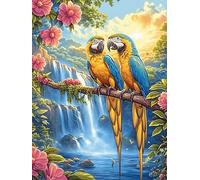 Couple de perroquets près d'une Cascade Puzzles 500 Pièces pour Adultes Qualité Supérieure Educa Jeu De Challenge Divertissement Artistique Décoration Intérieure 500 PCS