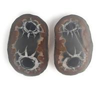 Couple de Septaria Pierre du Maroc Mineral Spirituel Septtaire Roca ouvert