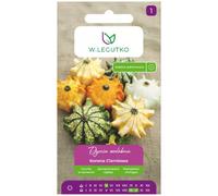 Courge décorative « Couronne d'épines » - mélange