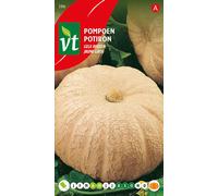 Courge Géante Jaune Graines - Environ 3 gr | VT_586