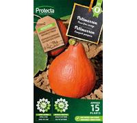 Courge - Graines de Protecta paysan - Env. 3 gr | 327-Protecta