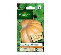 Vilmorin - Courge Musquée Muscade