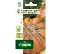 Courge Musquée Muscade - BIO