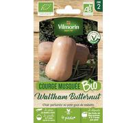 Vilmorin - Sachet graines Courge Musquée Waltham Butternut BIO - Cucurbita pepo