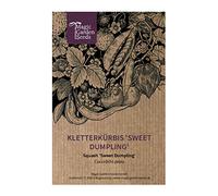 Courge patidou 'Sweet Dumpling' (Cucurbita pepo) env. 5 semences