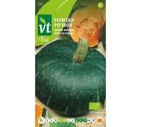 Courge Verte Hokkaido Graines- Env. 2.5 gr | VT_230