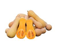 Courge Waldham Butternut 10 graines