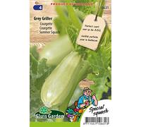 Courgette Grey Griller F1 - Légumes ou plantes à fruit