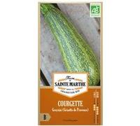 Courgette Greyzini (Grisette de Provence) bio - Graines à semer G