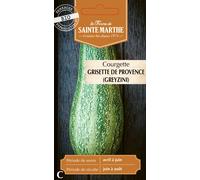 Courgette Greyzini (Grisette de Provence) bio - Graines à semer