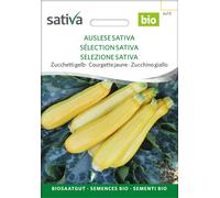 Courgette Jaune Bio "Sélection Sativa" - 1 sachet