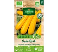 Courgette Jaune Gold Rush HF1 - BIO