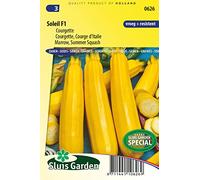 Courgette Soleil F1 - Légumes ou plantes à fruit