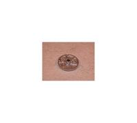 Couronne Bruleur Auxiliaire Electrolux