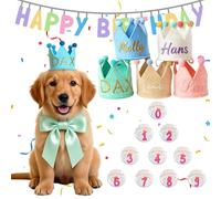 Couronne d'anniversaire pour Chien Personnalisée UIDMEN avec Prénom Brodé, Chapeau de Fête en Feutre pour Chiens et Chats, Adoption