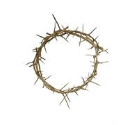 Couronne d'épines de Jérusalem Taille réelle authentique (10,2 à 15,2 cm de diamètre)