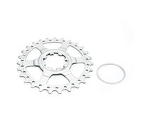 Miche Pignon 11 vitesses 29 dents pour Campagnolo dernière position