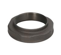 Couronne, engrenage planétaire ZF 0501324179ZF