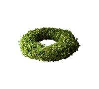 Couronne Hydrangea vert clair